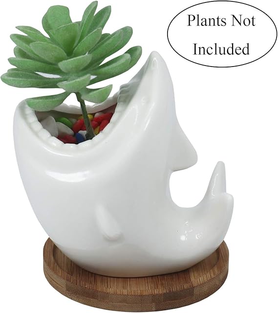 Gemseek Cute Shark Succulent Planter Pot with Bamboo Drainage Tray, White Ceramic