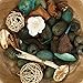 Hosley Eucalyptus Mint Chunky Potpourri 5 Ounces Ideal Gift for Party Favors Weddings Spa Reiki Meditation Bathroom Settings O4
