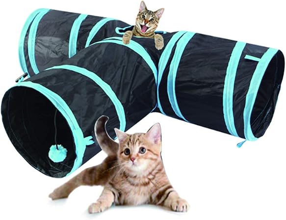 white with grey spots cat