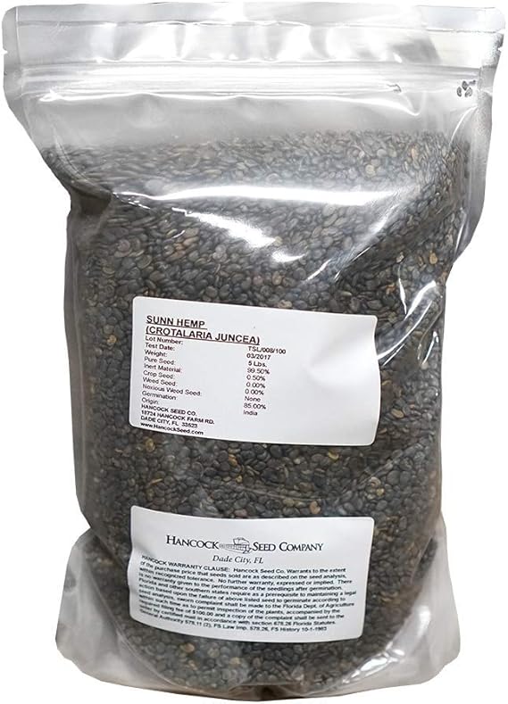 Sunn Hemp Seed Garden & Outdoor