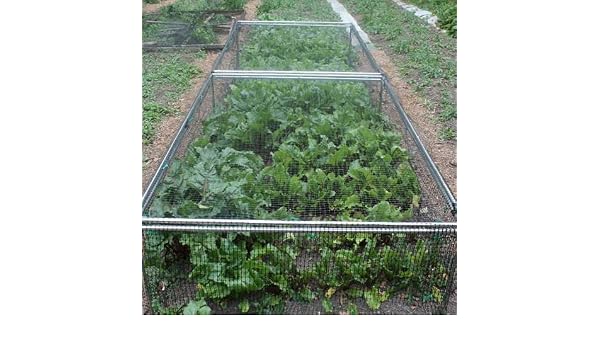 Jaula de fresas - verde estructura de aluminio con pájaro red - de ...