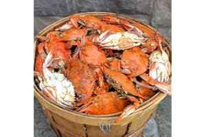 CAMERON'S SEAFOOD -EST. 1985 - Cameron's Seafood Premium Large Female Maryland Crabs (Bushel)