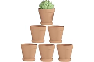 Fcacti 4 Inches Small Terracotta Pots with Saucer, 6 Pack 4" Terra Cotta Planter with Drainage Holes, Small Clay Flower Pots for Plants, Succulents, Crafts, Wedding Favor