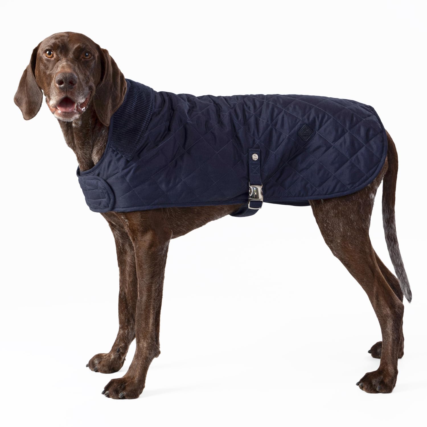 HUGO & HUDSON x HACKETT Quilted Dog Jacket Warm Winter Coat with Corduroy Collar, Navy M50