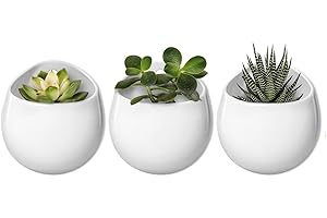 Mkono 4 Inch Wall Mounted Planter Round Ceramic Hanging Plant Holder Decorative Flower Display Vase Succulent Pots for Indoor Plants, Set of 3, White (Plants NOT Included)
