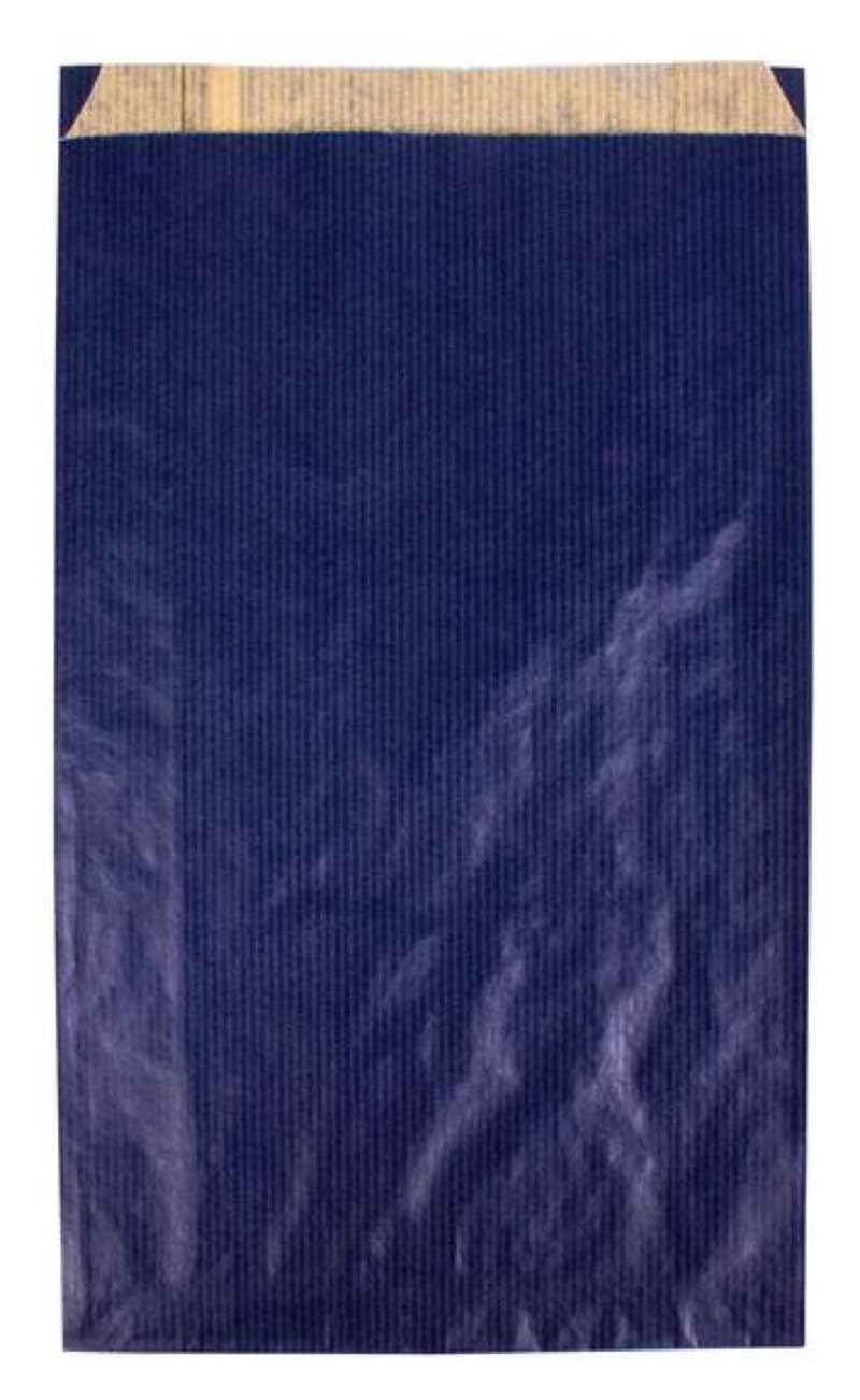 agipa 101653 Kraft Paper Gift Envelopes Small Blue