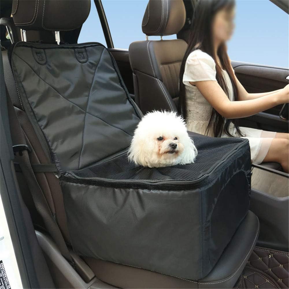 large dog car carrier