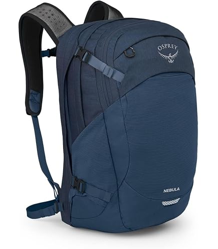 Amazon.com: Osprey Quasar Commuter Backpack, Atlas Blue/Heather