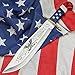 Timber Wolf 2018 American Independence Bowie/Fixed Blade Knife - Collectible Limited Edition, Laser Serialized - 3Cr13 Stainless Steel, Patriotic Blade Etchings - USA Flag Handle Theme - 16
