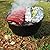Chef Buddy Portable Grill and Cooler Combo