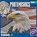 Buffalo Games Photomosaic: Eagle & Stripes