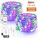 Areskey LED Fairy String Lights - 2 Pack 33ft 100 LED USB and Battery Powered Waterproof 8 Modes Remote Control Copper Wire Firefly Lights for Christmas Halloween Holiday Wedding Party (Multicolor)
