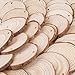 Natural Wood Slices 30 Pcs 2.4