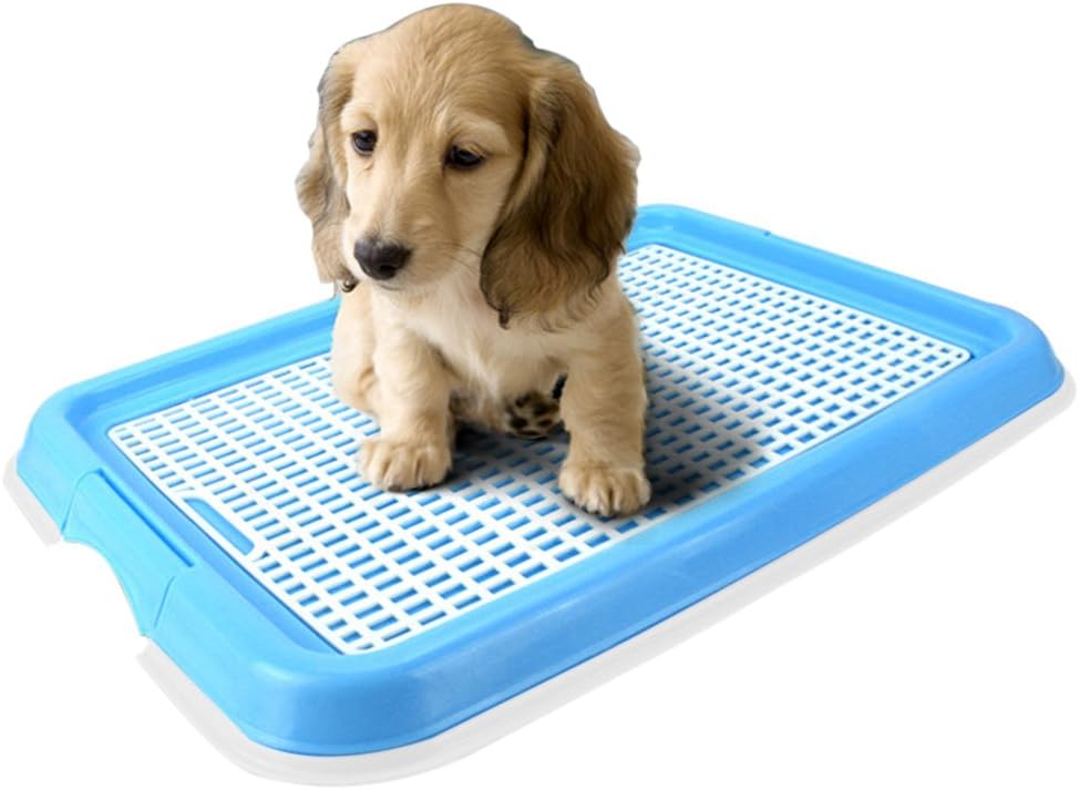 Candora Odourless Puppy Toilet Puppy Loo Training Potty Dog Toilet,Puppy Trainer Starter Kit Pet Toilet Potty Puppy Training Pad Holder Indoor Outdoor (Blue)