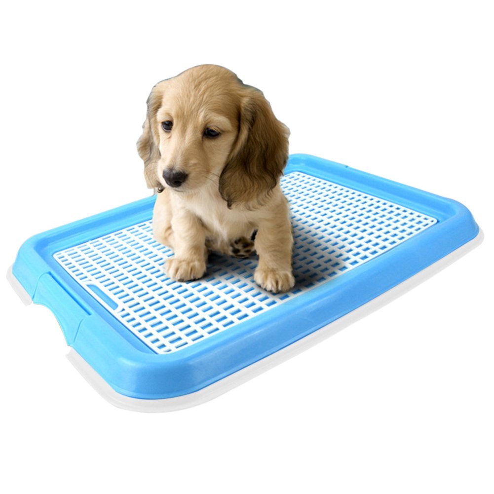 Candora Odourless Puppy Toilet Puppy Loo Training Potty Dog Toilet,Puppy Trainer Starter Kit Pet Toilet Potty Puppy Training Pad Holder Indoor Outdoor (Blue)
