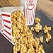NOVELTY PLACE Plastic Red & White Striped Classic Popcorn Containers for Movie Night - 7.8