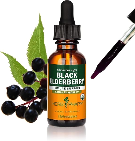 HERB PHARM ORGANIC BLACK ELDERBERRY GLYCERITE, 1 FZ/30 ML