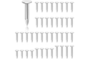 Glarks 300Pcs 1inch Steel Roofing Felt Nails Zinc Plated Roofing Felt Pins Clout Nails Countersunk Head Felt Nails, for Securing Shed Roofs, Roofing Felt Slate Boards, Wood Shed Tiles