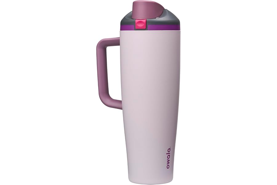 Owala FreeSip Tumbler Insulated Stainless Steel Water Bottle with Built-in Straw and Side Handle, For Travel, Work, School, and Sports, BPA Free, Leak Proof, 40oz, Dreamy Field