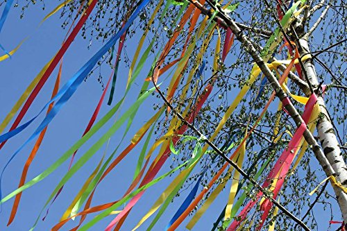 30x 2m Maibaum Bänder bunt 60m wasserfest Polyband wetterfest