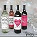 Big Dot of Happiness Be My Galentine - Valentine's Day Gift for Women and Men - Wine Bottle Label Stickers - Set of 4