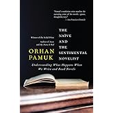 The Naive and the Sentimental Novelist: Understanding What Happens When We Write and Read Novels (Vintage International)