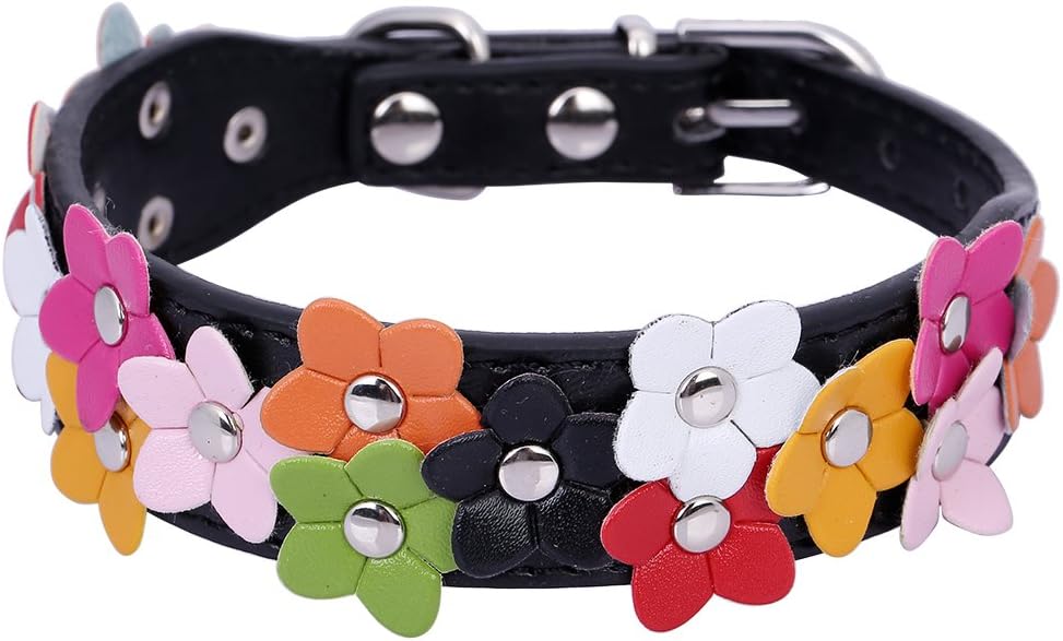 Pet Moon Soft PU Leather Dog Collar Flower Colour Padded Mulitple Colours (Black, Small(12-14.5 in))