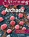 Archaea: Salt-Lovers, Methane-Makers, Thermophiles, and Other Archaeans (A Class of Their Own)
