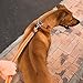 Reflective Dog Leash for Extra Large Dogs, 1