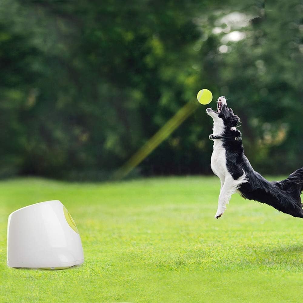 ALL for PAWS Automatic Dog Ball Launcher Interactive Dog Tennis Ball Thrower, Interactive Puppy Pet Fetch Toy - Image 4