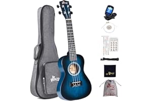 Winzz Ukulele Concert, Ukulele Beginner Kit for Adults and Children, Unique Color Design (vintage blue, 23 Inches - Concert)