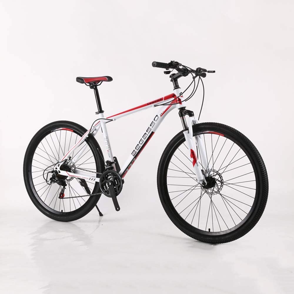 29 inch road bike