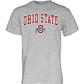 Blue 84 NCAA mens T Shirt Gray Arching Over