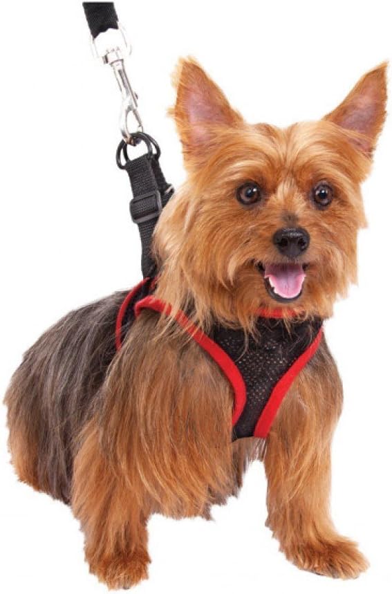 comfy control dog harness