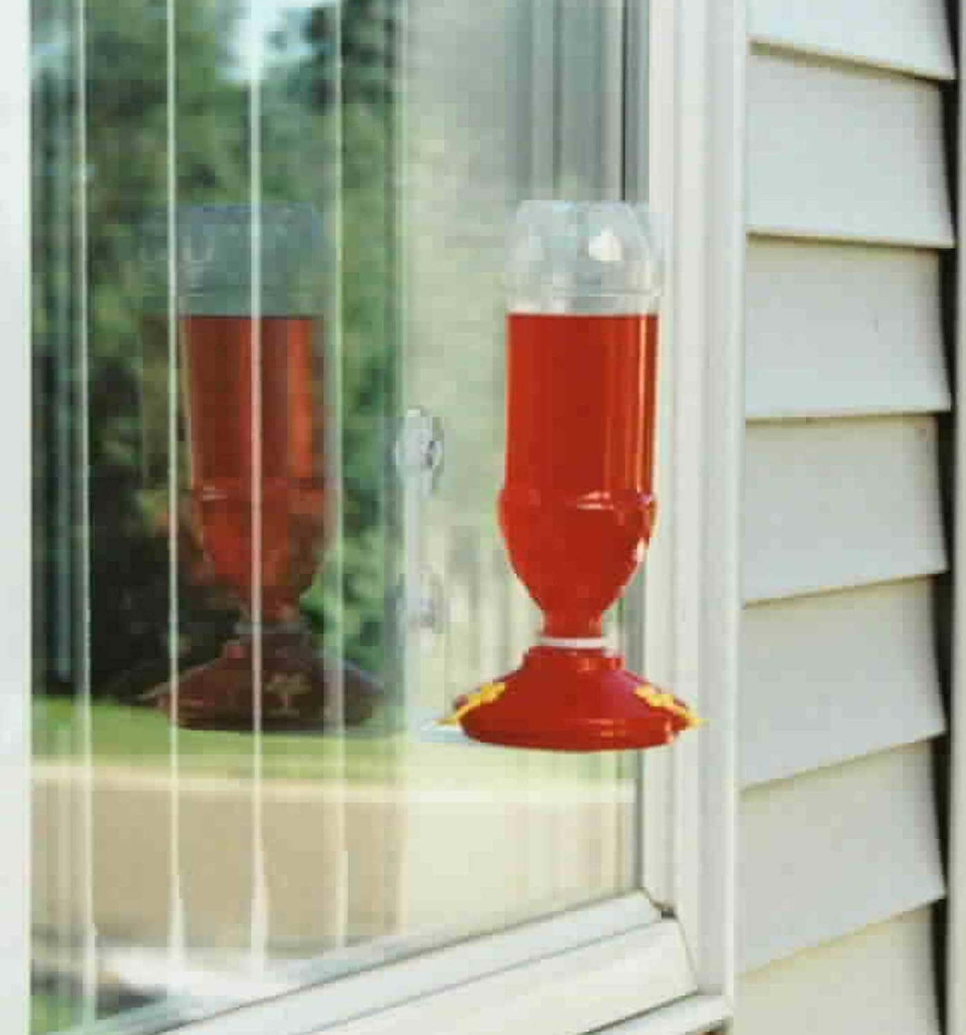 Amazon Com Gadjit Soda Bottle Hummingbird Window Feeder Fill
