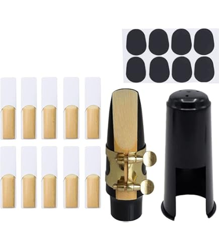 Amazon.com: TUOREN 21 Pieces Alto Saxophone Mouthpiece Set Include