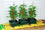 Garden Mile 3pc Tomato Plant Pots Grow Bags for Vegetables & Herbs view 8