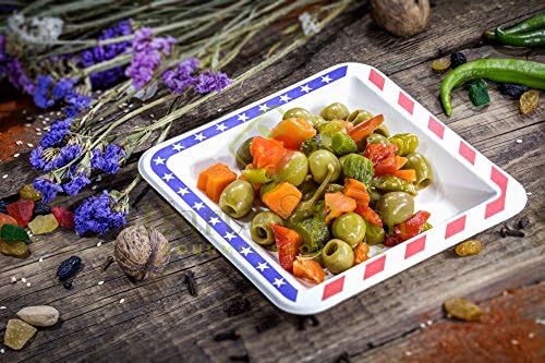 [1000 COUNT] 6.5" inches American Flag Contemporary Disposable Square Plate - Made From Natural Plant Fibers Compostable Eco Friendly Paper Plastic Alternative 100% by-product (Red/White/Blue)