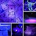 Black Light Flashlight, Zoomable Ultraviolet Flashlight, Scorpion UV flashlight, 395 nM Handheld Blacklight Detector for Spot Carpet Pet Dog Urine Detection Light, Stains and Bed Bug - 2 Pack