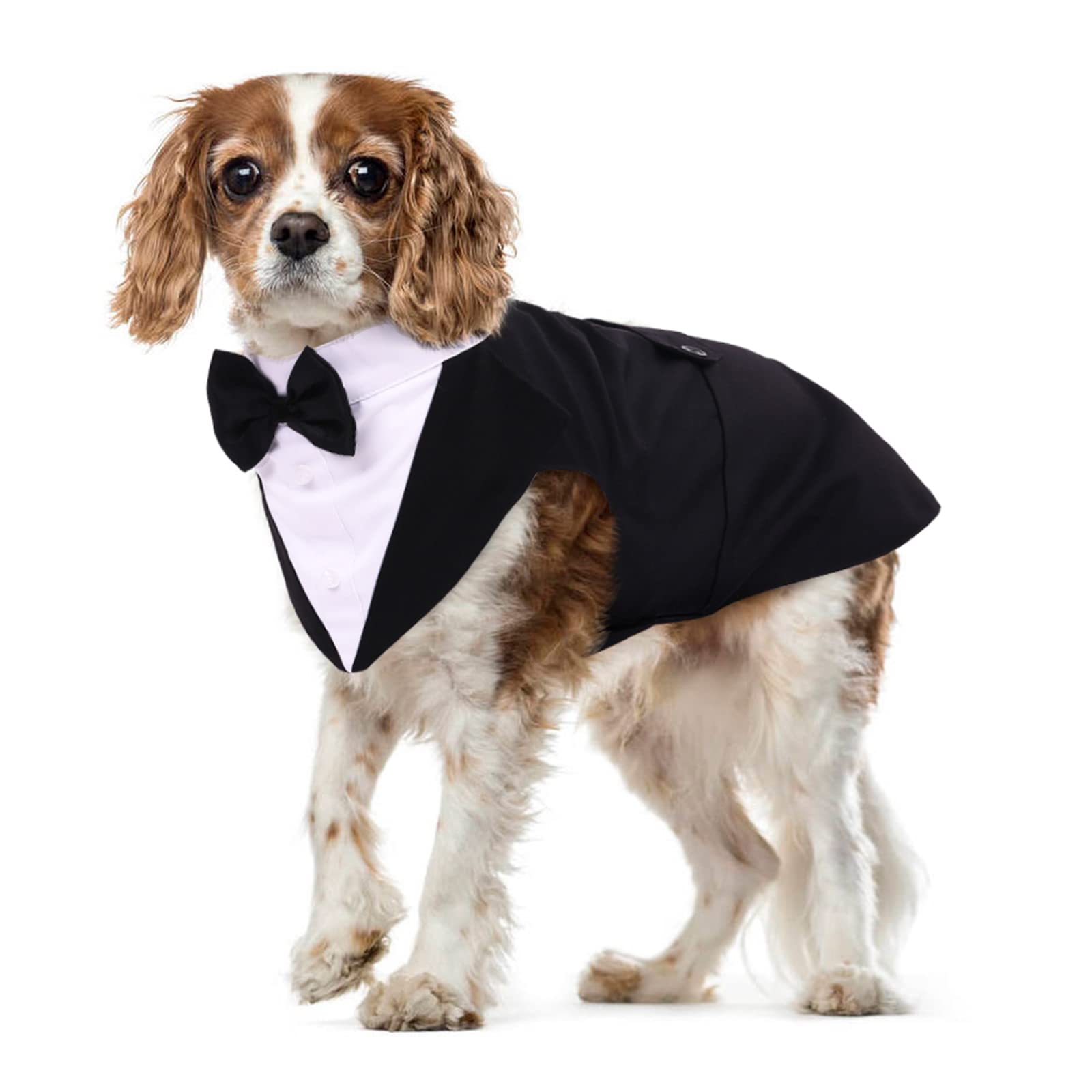 Dog Tuxedo Suit, Dog Clothes Coton Wedding Party Costume Puppy Formal Outfit Festival Shirt Coat Apparel with Detachable Bow Tie Bandana(Black, M)