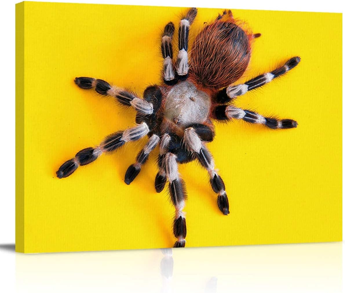 Canvas Wall Art Decor Tarantula Spider Oil-Painting Style Yellow Background Wall Decor Stretched & Framed Artwork Paintings Ready to Hang for Living Room Bedroom Kitchen- 16x20 inch