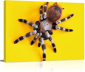 Canvas Wall Art Decor Tarantula Spider Oil-Painting Style Yellow Background Wall Decor Stretched & Framed Artwork Paintings Ready to Hang for Living Room Bedroom Kitchen- 16x20 inch