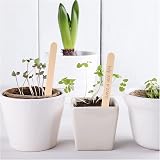 LR Supplies 50 Wooden Plant Labels with Pencil Marker Sticks 92mm x 9mm view 9