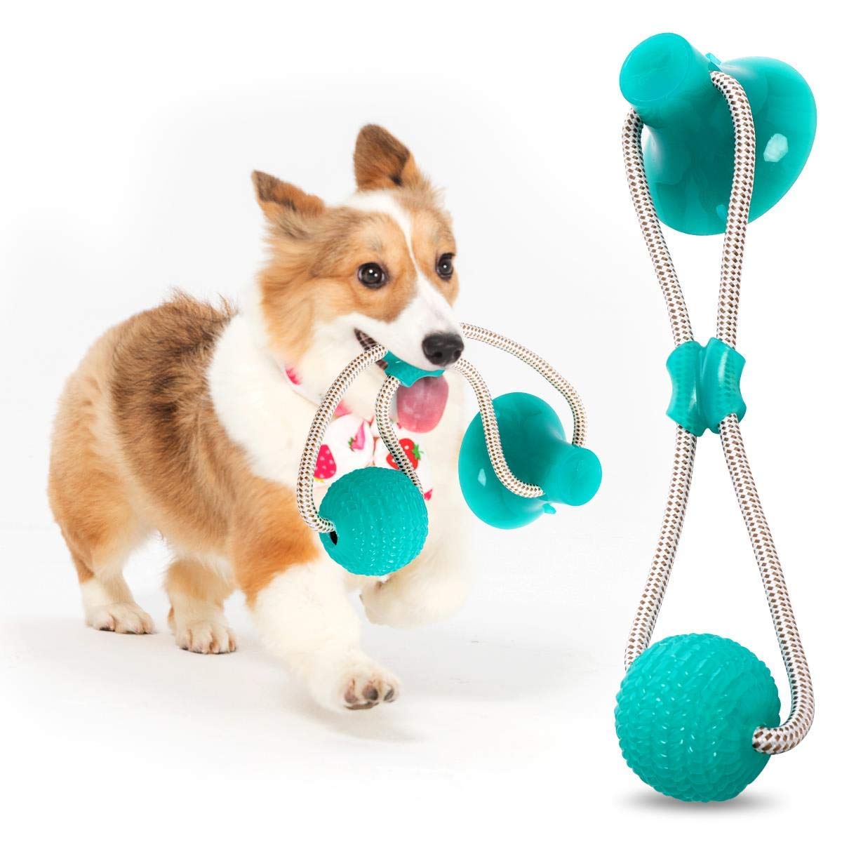 Ropes Interactive Multifunction Toy, Bite Molar Pet ODOLDI Toys, Cats