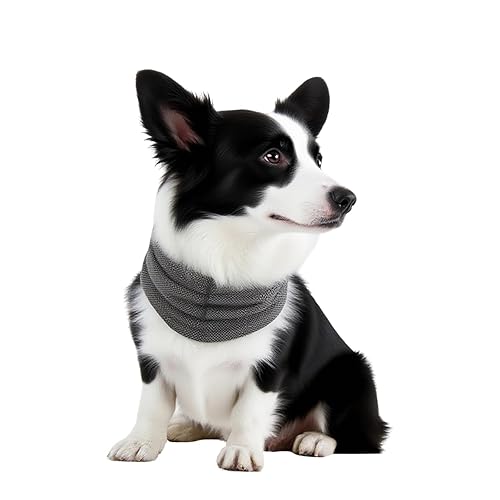 Cooling Collar for Dogs – Reusable Cooling Dog Collar Bandana for Hot Weather Relief, Lightweight Breathable Summer Pet Scarf (L)