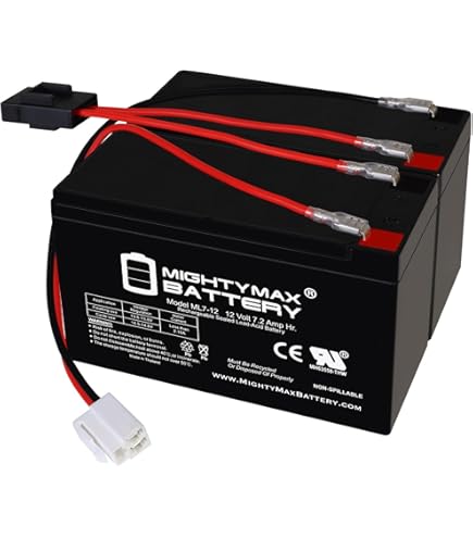 Amazon.com: Wps b49-6 battery w/acid pack b49-6 (B49-6) : Automotive