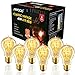 ANYQOO Edison Vintage A19 Victorian Antique Style Edison Bulb Light - 120 Lumens - 40 Watt - Dimmable - E26 Bulb Base - Classic loops Squirrel Filament Pack of 6