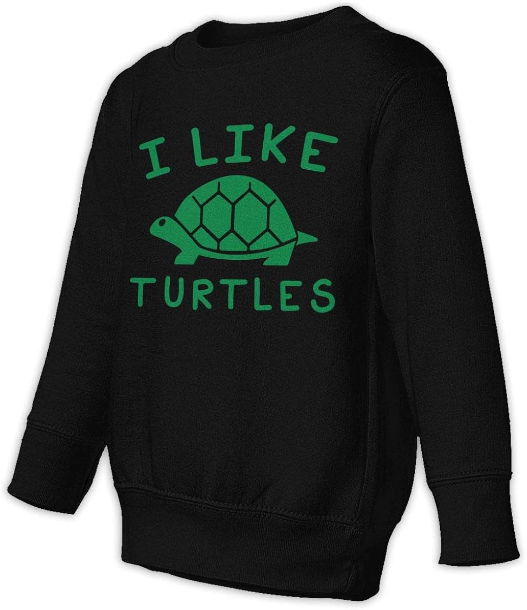 Boys' I Like Turtles Round Neck Hoodies Long Sleeve Sweatshirt Amazon
