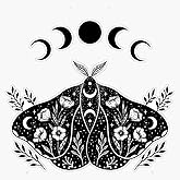 Luna and Moth Window Bumper Sticker Decal 5
