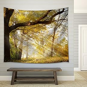a Huge Old Oak Tree in Autumn Park Lighted Sun Sunrise - Fabric Wall Tapestry Home Decor - 51x60 inches